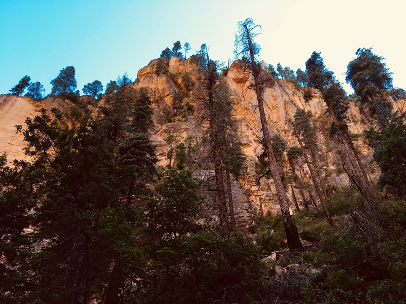 Don't spend so much time thinking about your tired, achy legs that you forget to look up at the amazing scenery all around you!