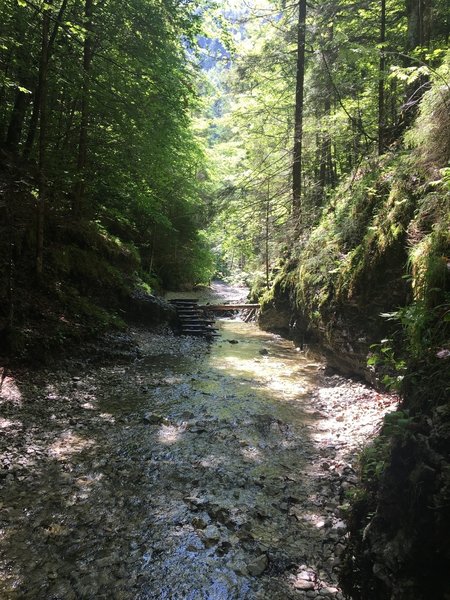 The enter of the Piecky Canyon