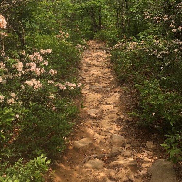 The High Rocks Spur Trail