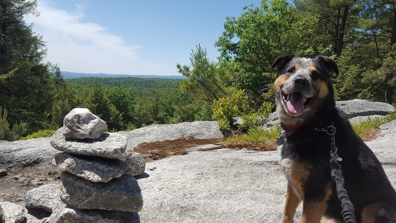 Looking back from the ridgeline into MA