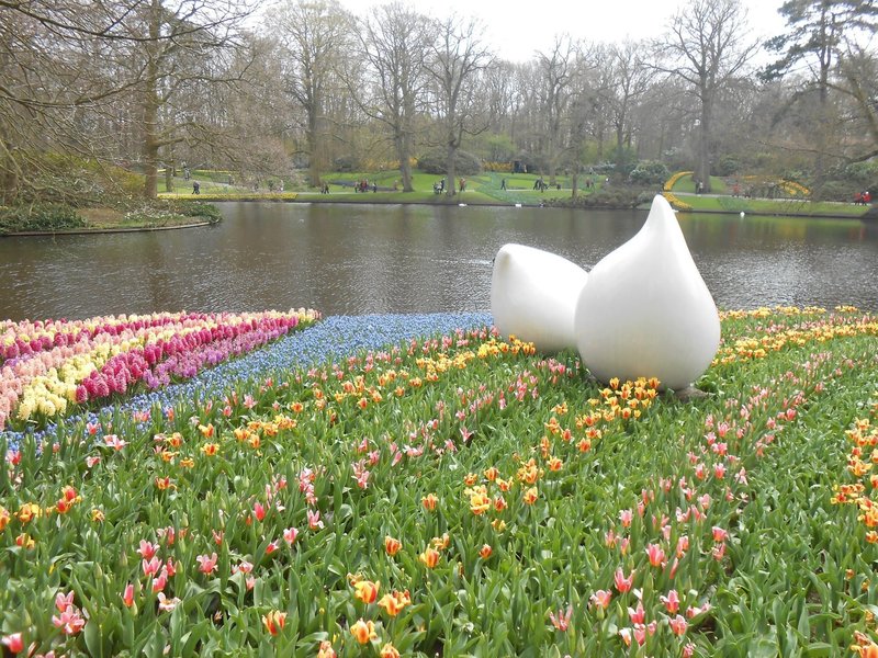 Keukenhof gardens