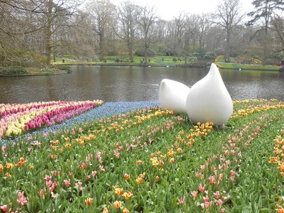 Keukenhof gardens