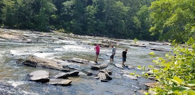 Playing in Spring Creek