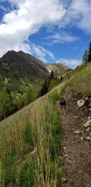 First good view of Hope Point along the trail