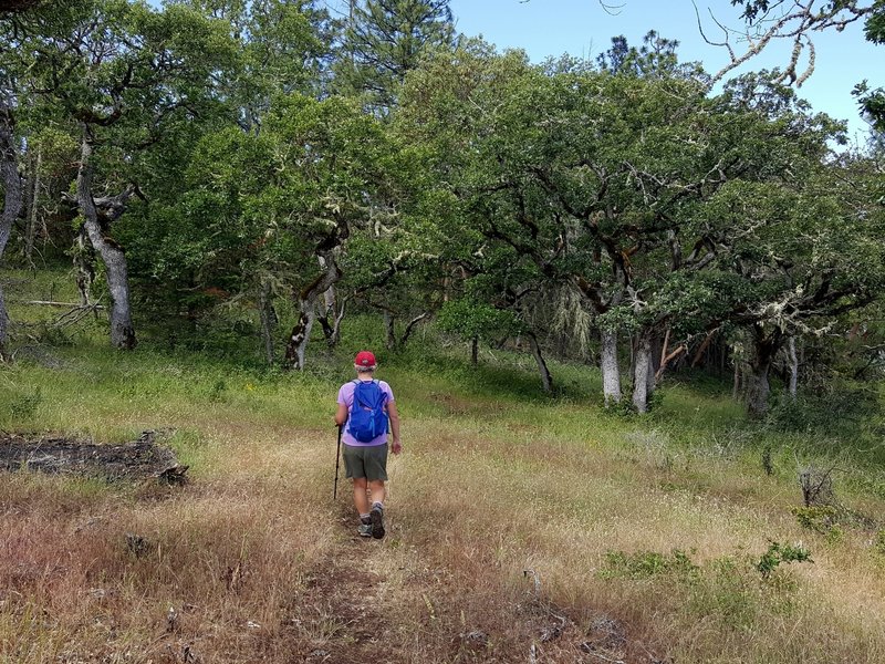 Starting south on the CCC Historic Trail from the Equestrian Trail