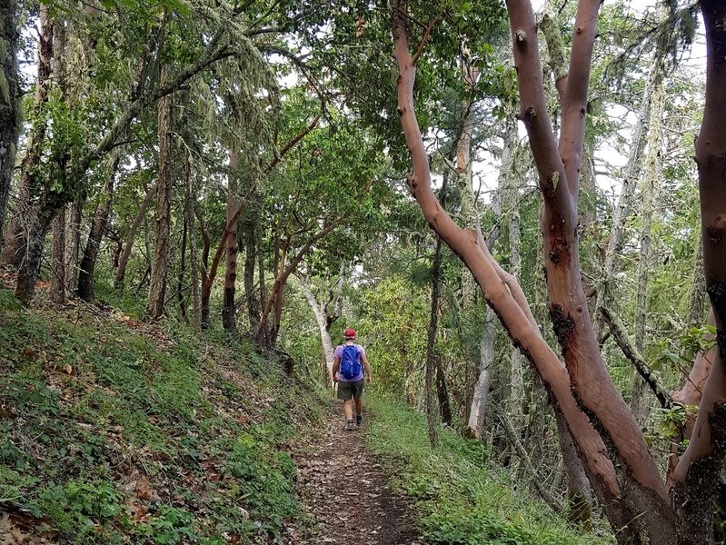 Along the CCC Historic Trail