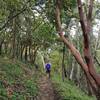 Along the CCC Historic Trail