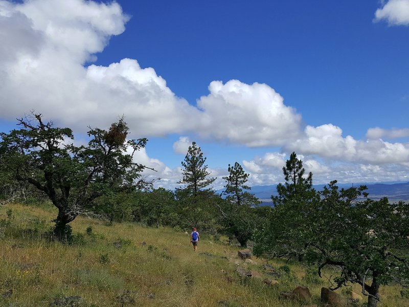 On the Lithic Trail on the east side of Roxy Ann