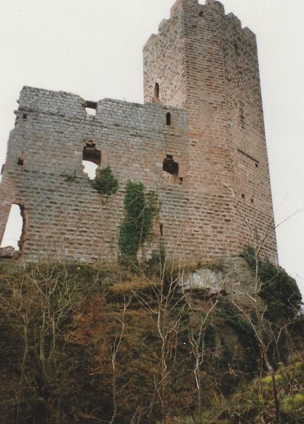 Chateau du Wangenbourg from the trail