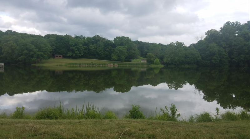 Looking out over the lake