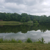 Looking out over the lake