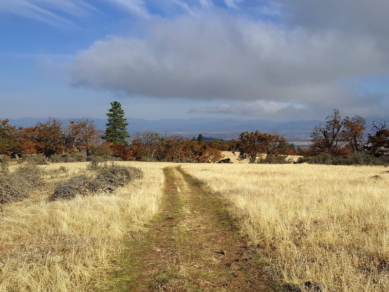 Going north on the Equestrian Loop Trail