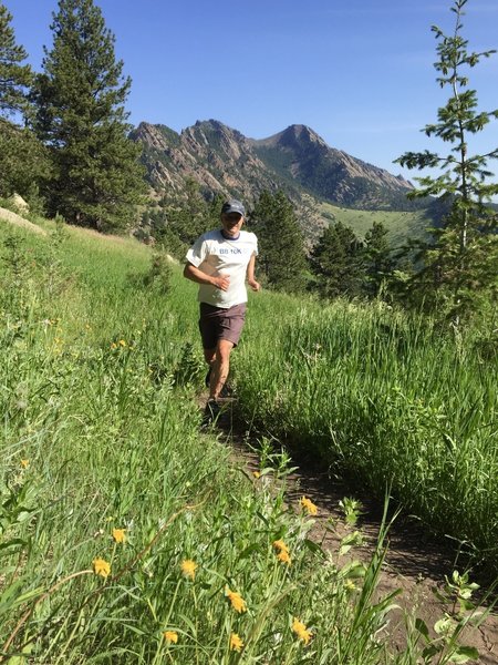 Amazing June day on Goshawk Ridge