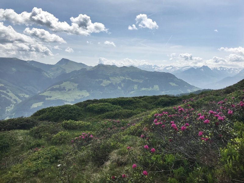 View from the ridge