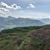 View from the ridge