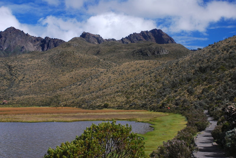 Trail leading along Limpiopungo to Rumiñahui - South, Central, and Northern Peaks Visible.