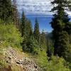 View of Tom Mountain from the lower switchbacks on the Middle Fork Trail.