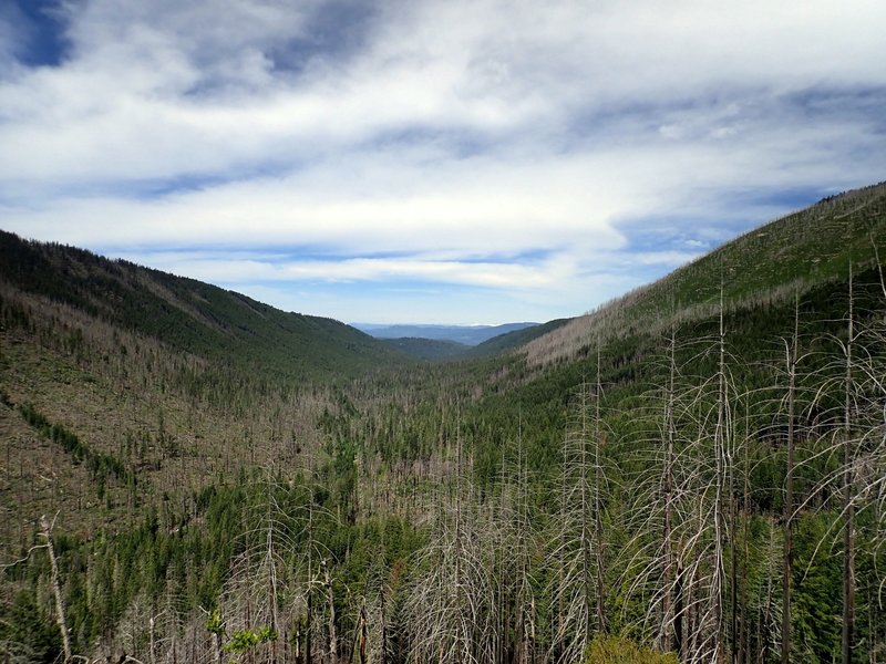 Looking west along the Middle Fork Canyon from the Halifax Trail.