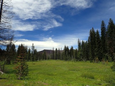 Solace Meadow from the former site of the old cabin