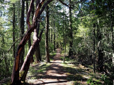 The barrier-free upper trail to the lookout