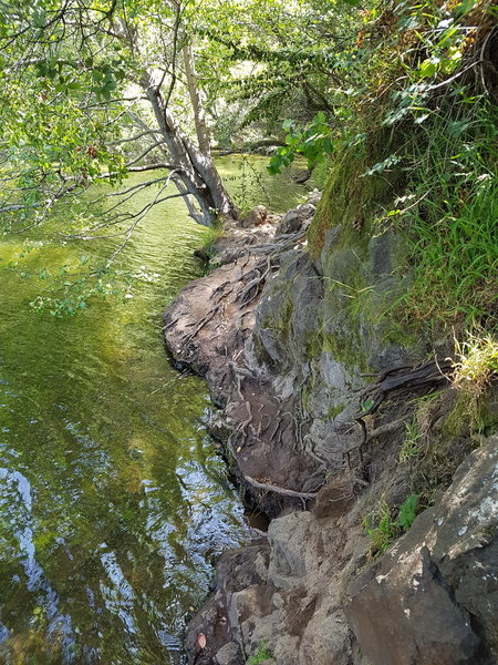 The trail is extremely narrow.