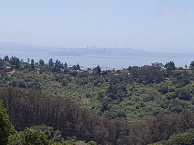 View of San Francisco on the way up to Wildcat Peak
