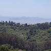 View of San Francisco on the way up to Wildcat Peak