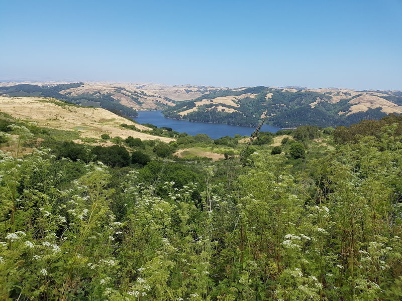 View of the San Pablo Reservoir from Wildcat Peak