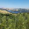 View of the San Pablo Reservoir from Wildcat Peak