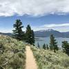 Singletrack with view of Lake Dillon