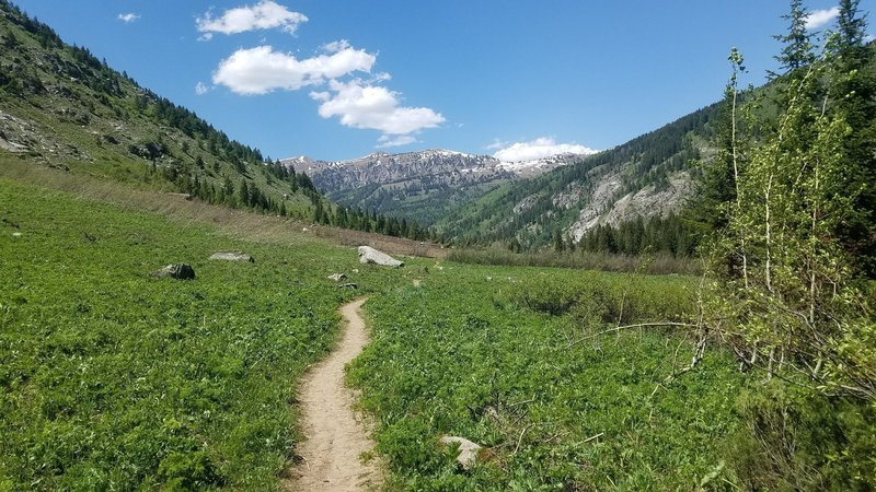 Looking to the North towards the Teton Canyon Campground.