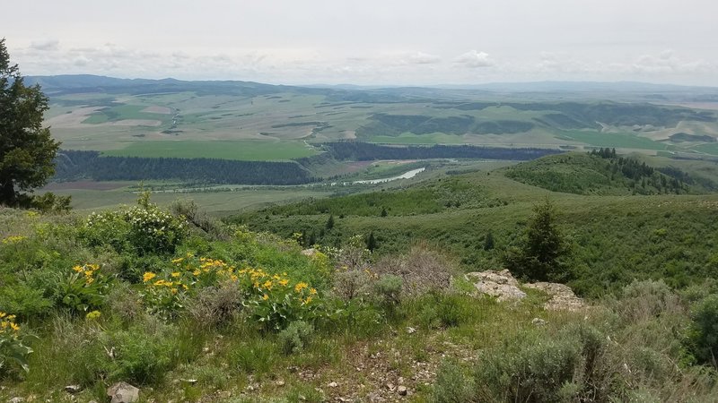 Looking at the Snake River from the top of Kelly Mountain