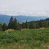 Lots of nice wildflowers with nice views.