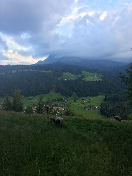 View of Mt. Pilatus from Kriens Green running trail