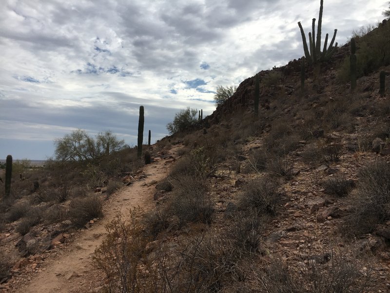 Trail headed West