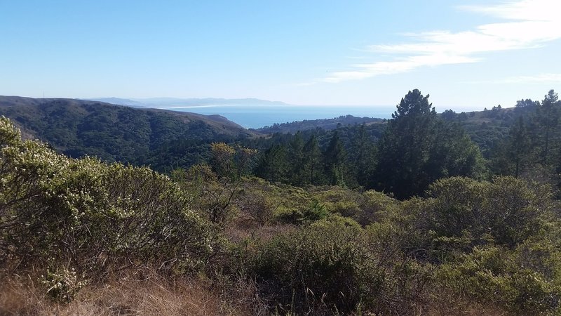 View of ocean from trail