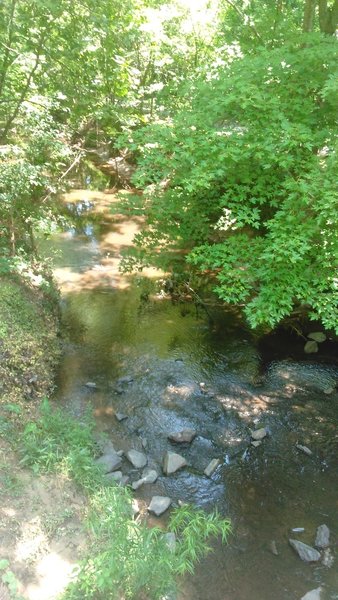 Ellerbee Creek