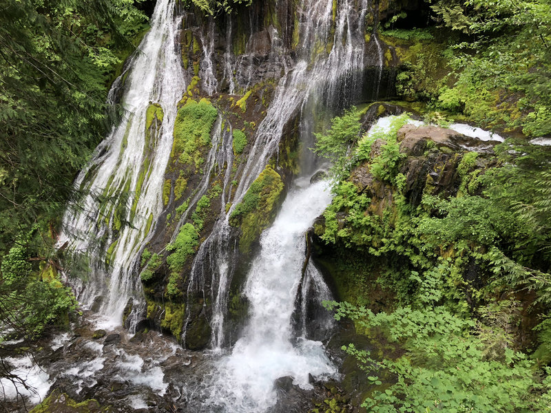 Panther creek falls