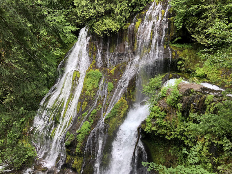 Two spring fed and one creek fed falls converging