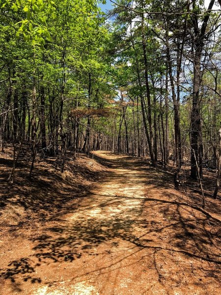 Wide open trail on Stone Place