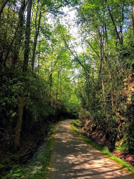 Old railroad line turned to trail