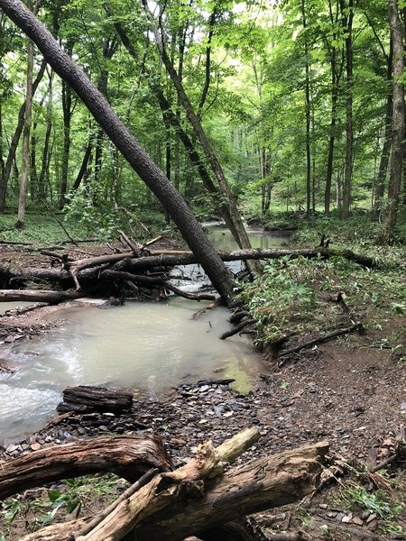 Beautiful creek, peaceful sound of running water.