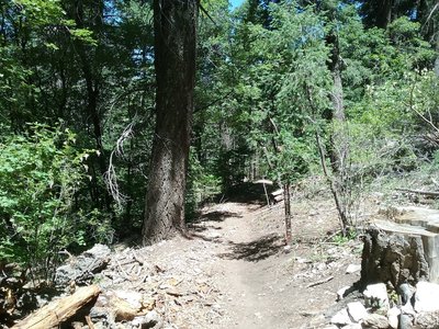 Beginning of trail