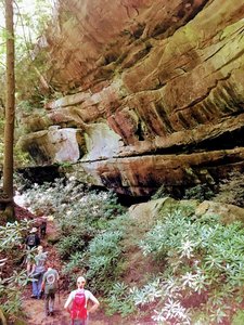 Hiking on Middle Creek Nature Loop