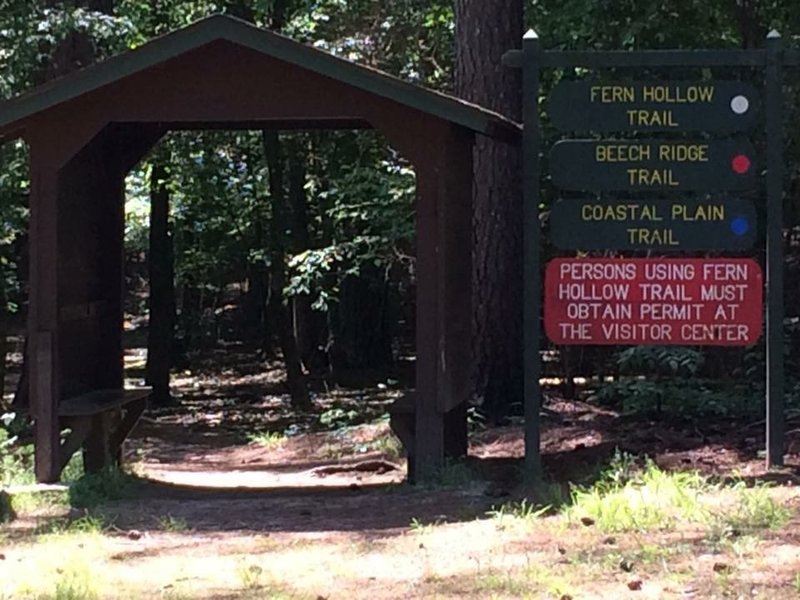 Fern Hollow Trail - White Oak Lake, Arkansas