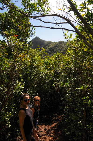 Summit in view along the trail.