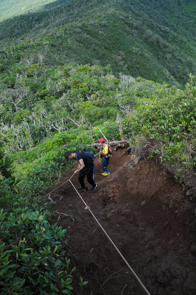 Hikers use the ropes to help them descend the steep summit approach.