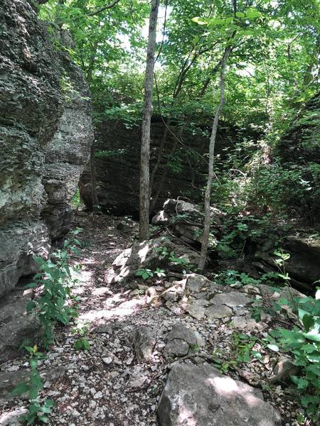 Bluffs along trail.