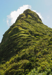 The summit trail is clearly visible along the final part of the "thumb". Note the hiker in white in the middle of the picture.