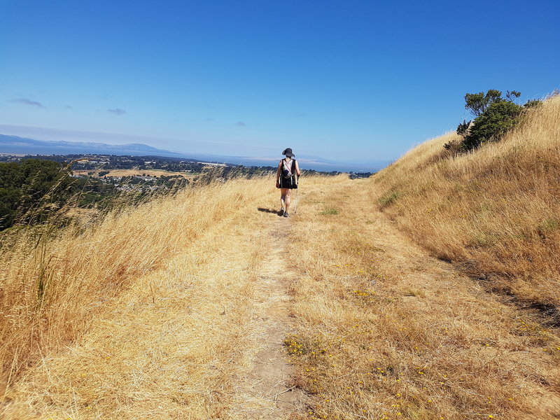 Amazing views of Mt. Diablo